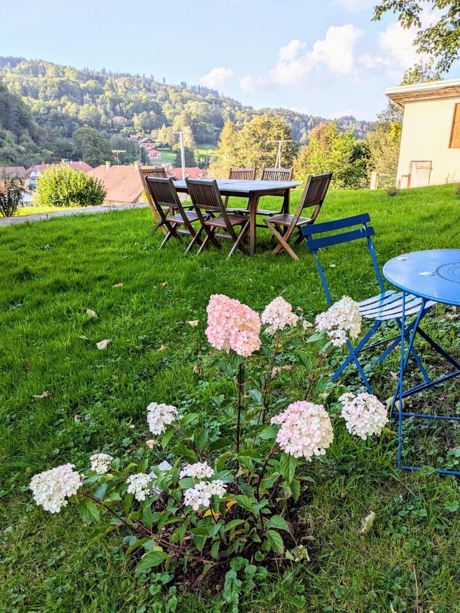 Le Renard Des Vosges Villa La Croix-aux-Mines Luaran gambar